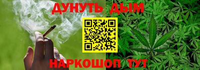 ALPHA PVP Гатчина