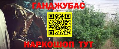 a pvp Гай