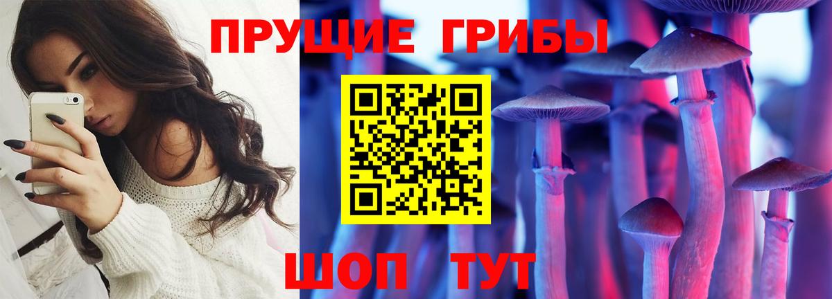 Псилоцибиновые грибы мухоморы  Вход с VPN  Киселёвск 